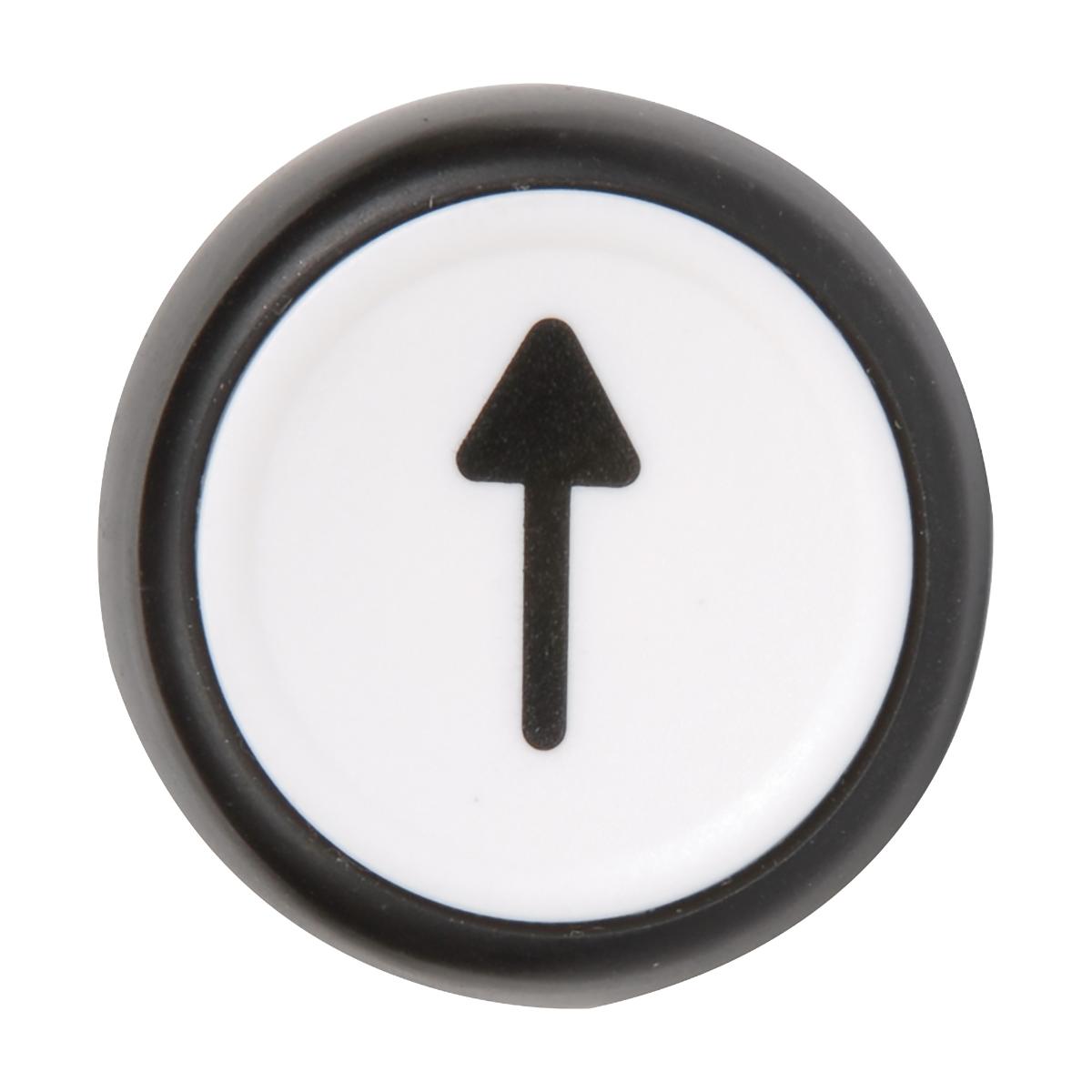 P/BUTTON 1-SPEED WHITE VERT UP