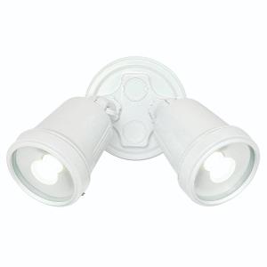 LED SPOTLIGHT HUNTER TRIO TWIN 22W CCT W