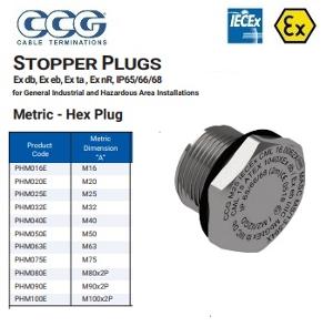 HEX STOPPER PLUG BRASS 32MM EX