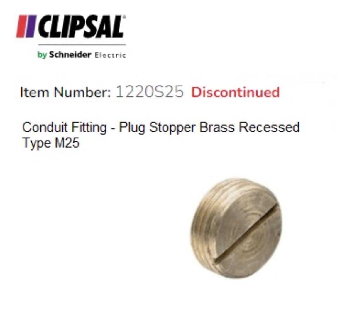 SCREW IN PLUG BRASS 25MM