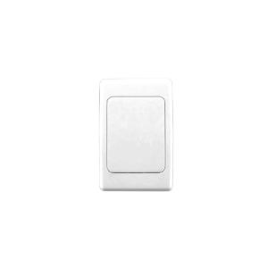 2000 PLATE GRID & SURROUND BLANK WHITE 2000 PLATE GRID & SURROUND BLANK WHITE