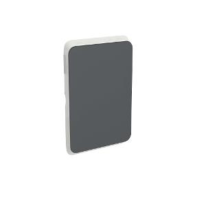 SKIN SWITCH BLANK PLATE V/H ANTHRACITE