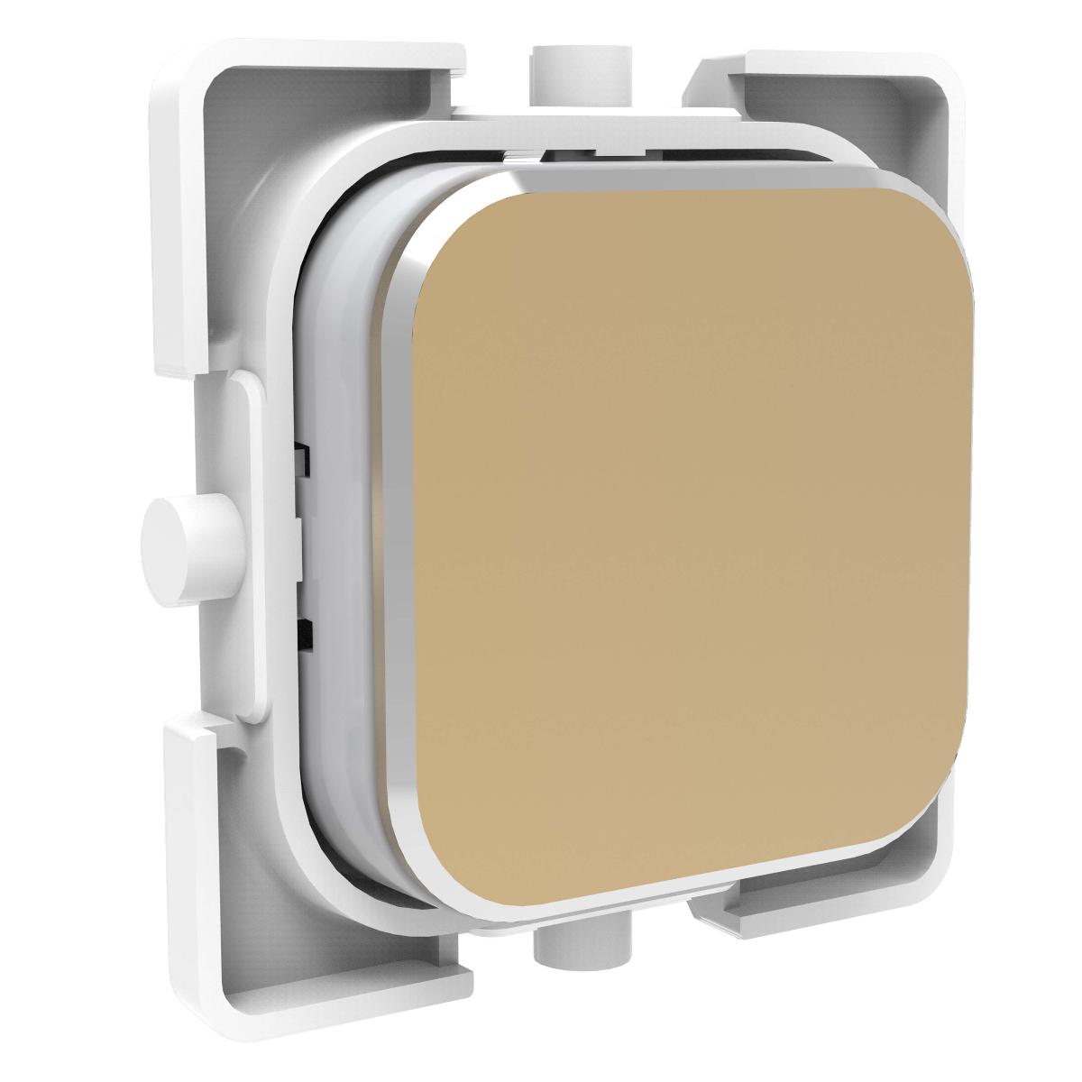 S40 ICONIC DOLLY PUSHBUTTON BLANK CROWNE