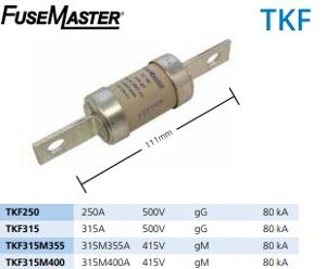 BOLT IN FUSE HRC CENTRE TAG 415V 250A BOLT IN FUSE HRC CENTRE TAG 415V 250A