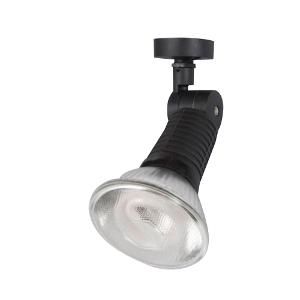 SPOTLIGHT SINGLE PAR38 120W ES C/W LAMP