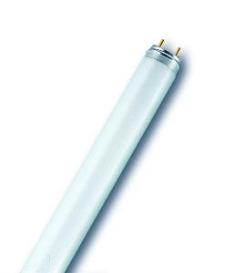 FLUORO TUBE 18W T8 6500K DAYLIGHT