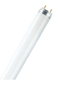 FLUORO TUBE 18W T8 4000K COOL WHITE