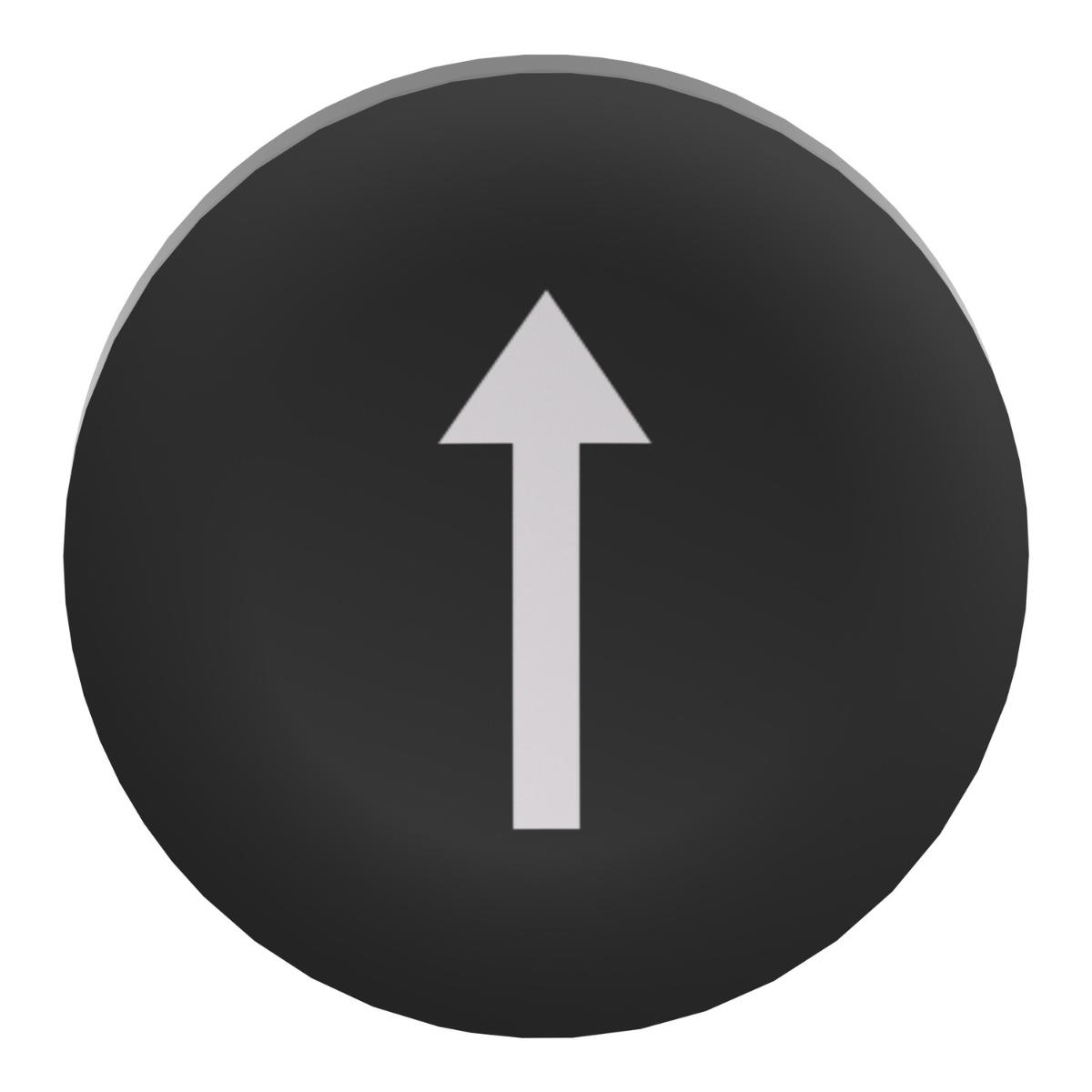 CAP BLACK + WHITE ARROW FOR P/BUTTON