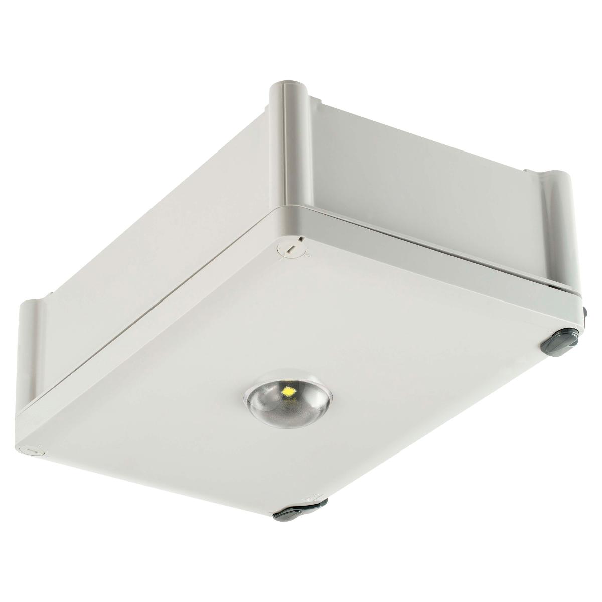 LED EMERG LGT SUPER SATELLITE D100 IP65