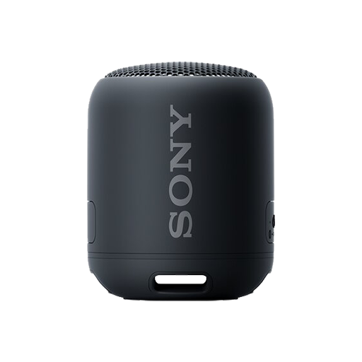Sony Portable Bluetooth Speaker